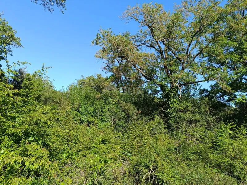 ISTRIA, PEROJ Large weekend green area 200 m from the beach – 2