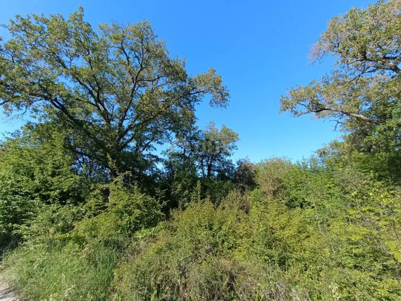 ISTRIA, PEROJ Large weekend green area 200 m from the beach – 3