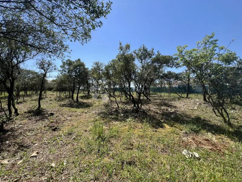 Land Valtura, Ližnjan, 409m2 – 3