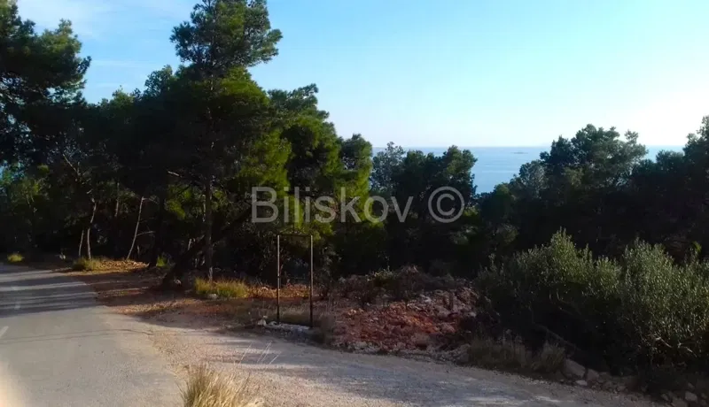 Land Sveta Nedjelja – 2