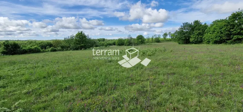Istria, Svetvinčenat, building plot 4776m2, GREAT LOCATION #sale – 2