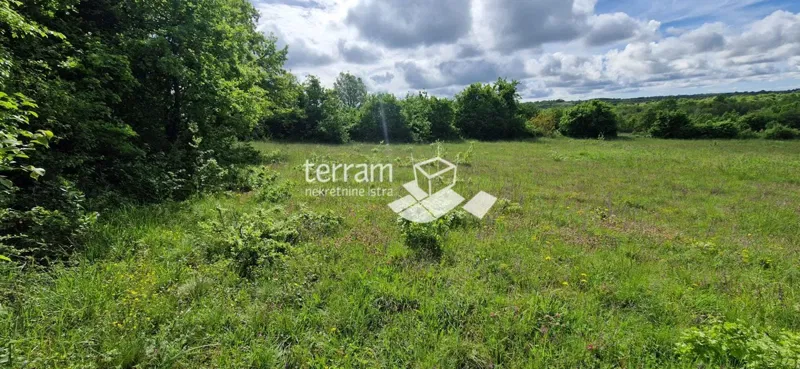 Istria, Svetvinčenat, building plot 4776m2, GREAT LOCATION #sale – 3