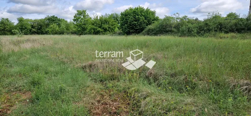 Istria, Svetvinčenat, Režanci, terreno edificabile 1670m2 OTTIMA POSIZIONE #vendita – 2