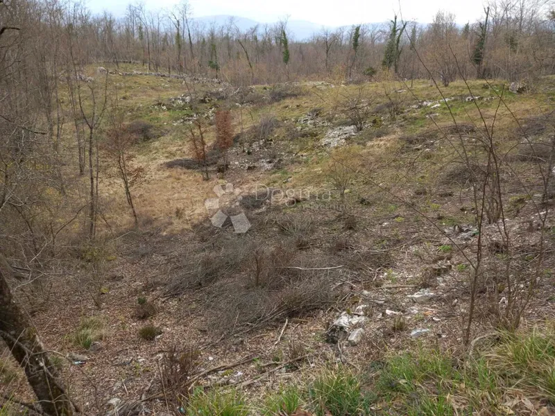 Land Permani, Matulji, 3.262m2 – 2