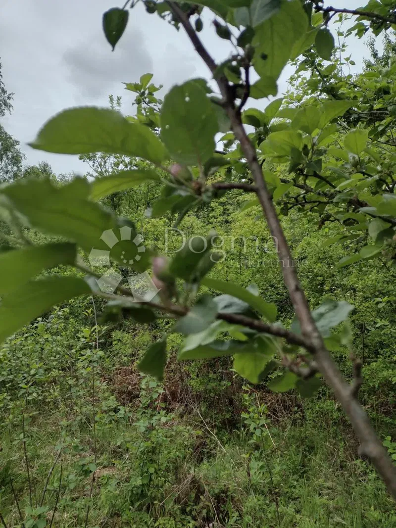 Pozemok Gvozd