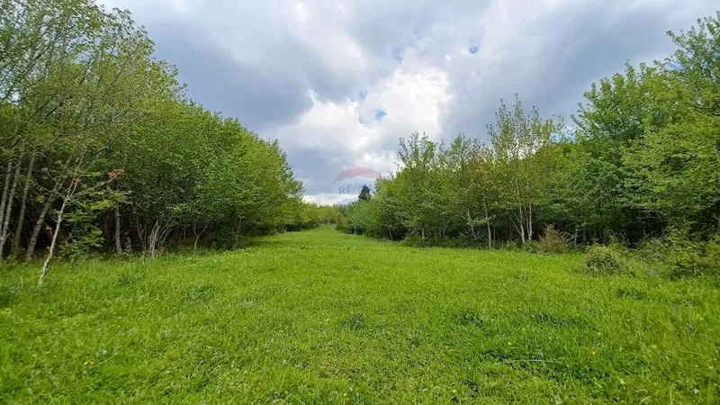 Non-structural plot Belo, Delnice, 1.964m2 – 2