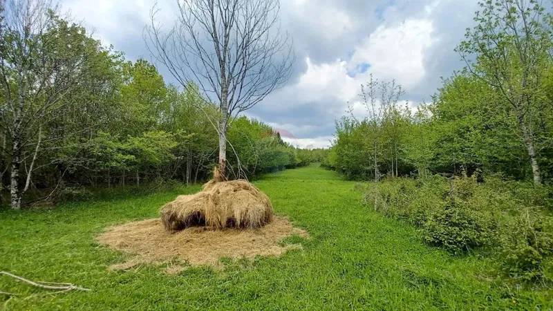 Non-structural plot Belo, Delnice, 1.964m2 – 3
