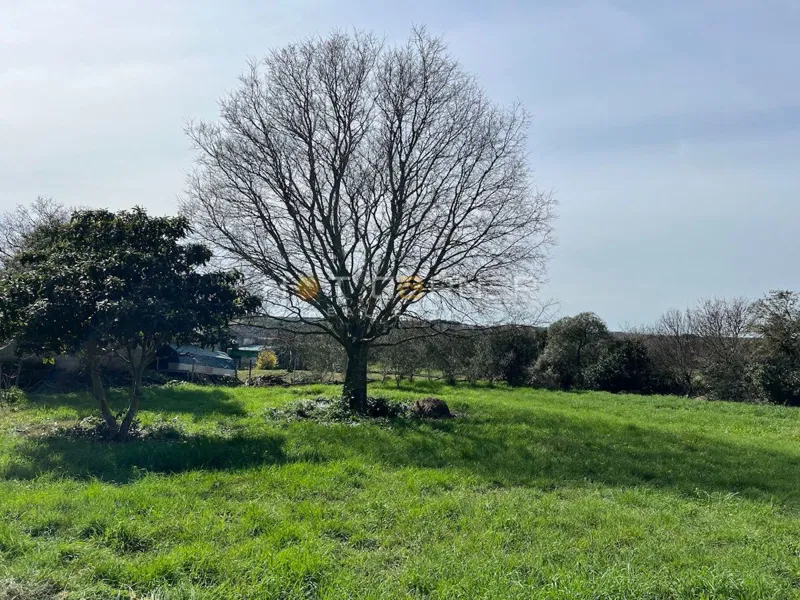 Jadreški,Pula, terreno edificabile di 2000 m2 con una casa di 40 m2 – 3