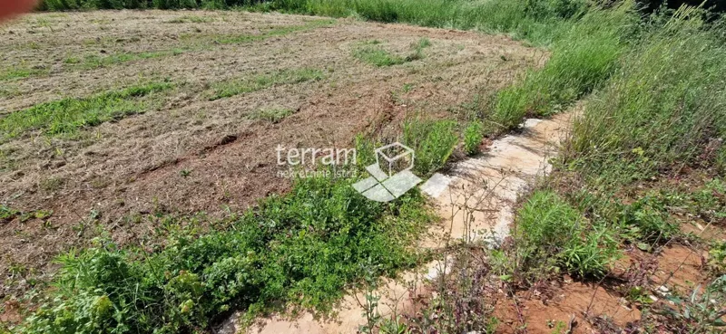 Telek Ližnjan – 3