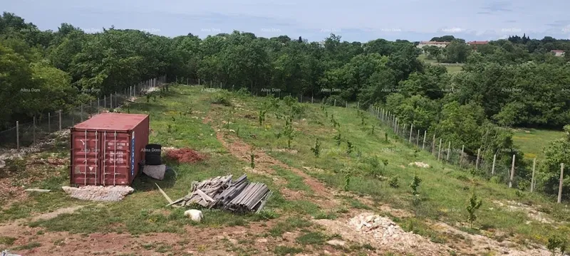 Building land for sale with building permit for the construction of a villa with a swimming pool, Svetvinčenat! – 2