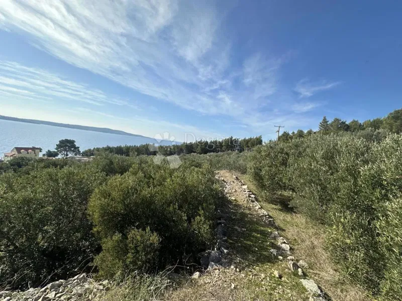 Land Zavala, Jelsa, 2.078m2 – 2