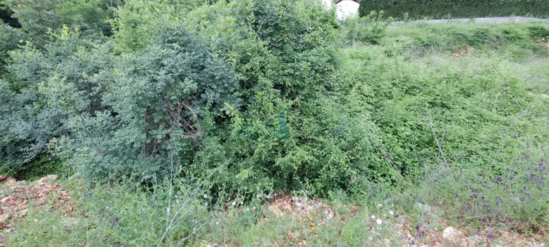 Telek Malinska – 3