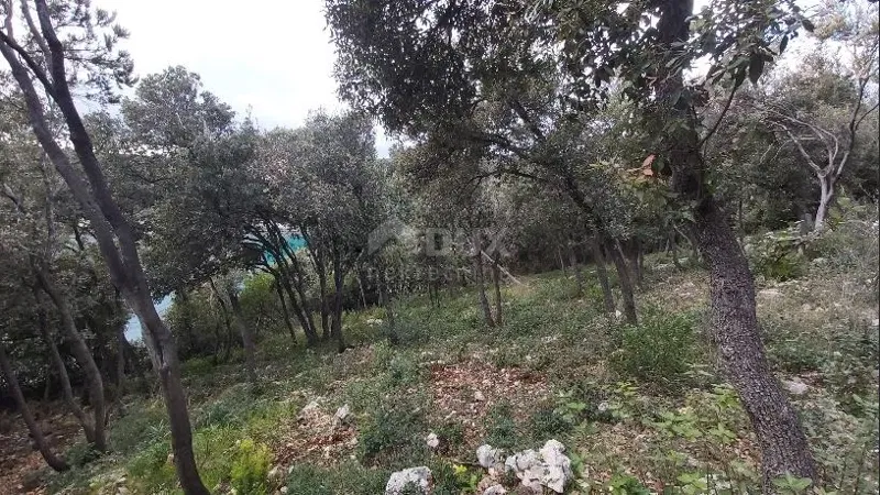 ISTRIA, KAVRAN - Terreni agricoli in prima fila sul mare – 2