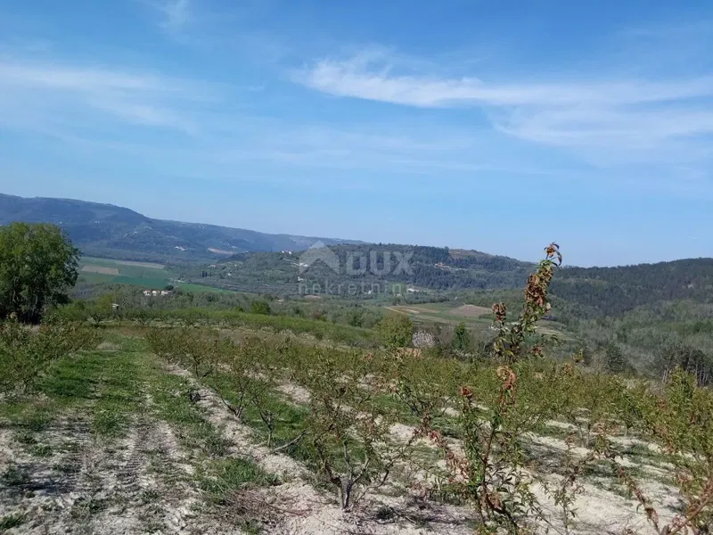 Istria, Motovun, land, 3,597 m2, complex – 3