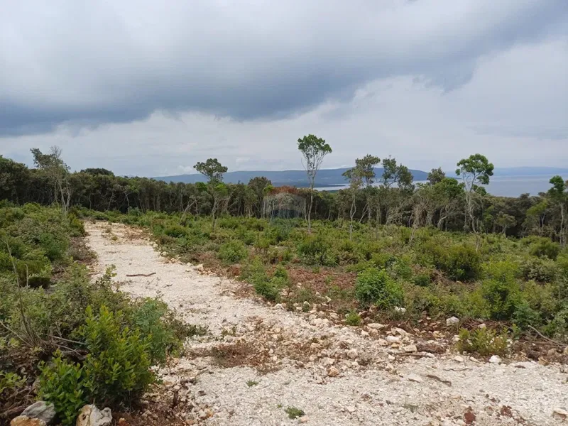 Terreno non edificabile Kavran, Marčana, 464m2 – 3