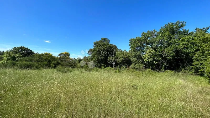 Działka Marčana, 17.544m2 – 2