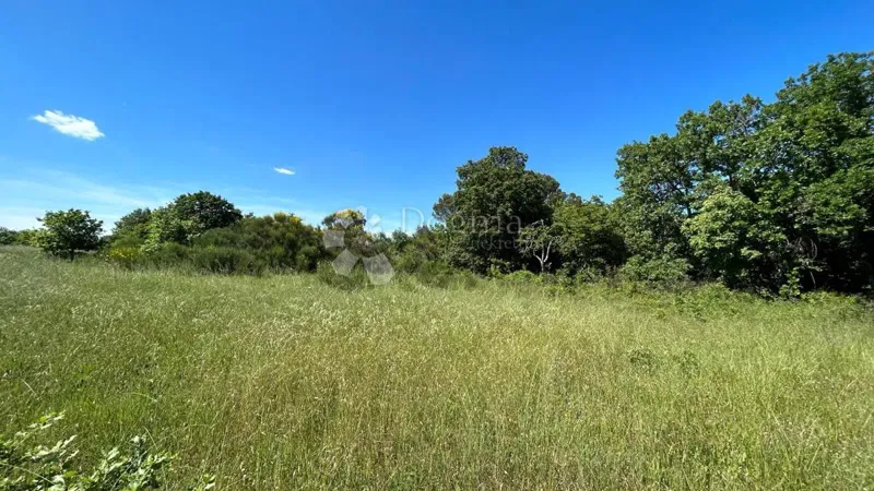 Działka Marčana, 17.544m2 – 3