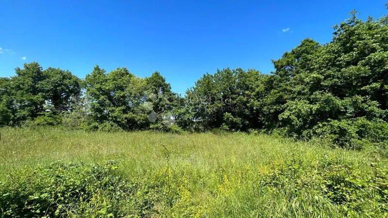 Föld Muntić, Ližnjan, 1.971m2 – 2