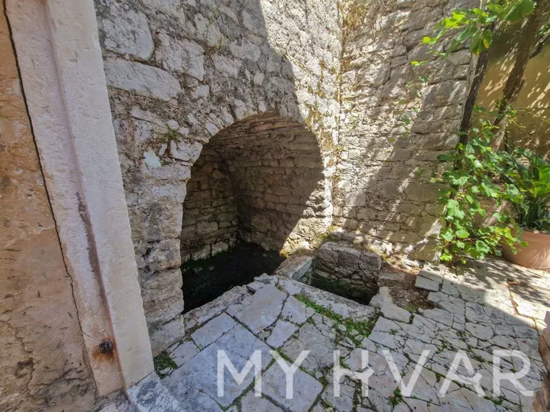 Dom Jelsa – 3