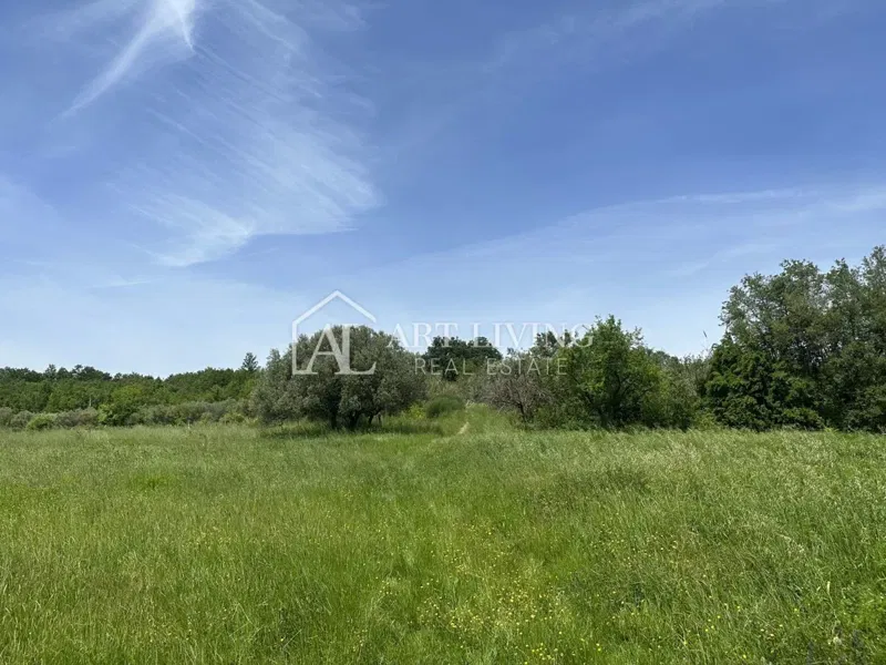 Istria, Buje, surroundings - spacious agricultural land in a quiet and beautiful location – 2