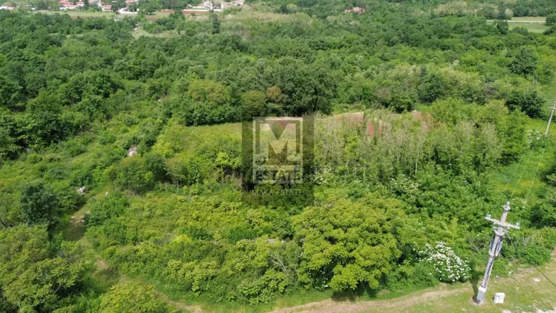 Parenzo, dintorni, Terreno edificabile con progetto – 2