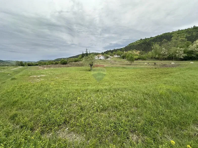 ISTRIA, GOLOGORIČKI DOL - Building plot 2618 m2 – 2