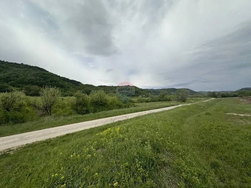 ISTRIA, GOLOGORIČKI DOL - Building plot 2618 m2 – 3