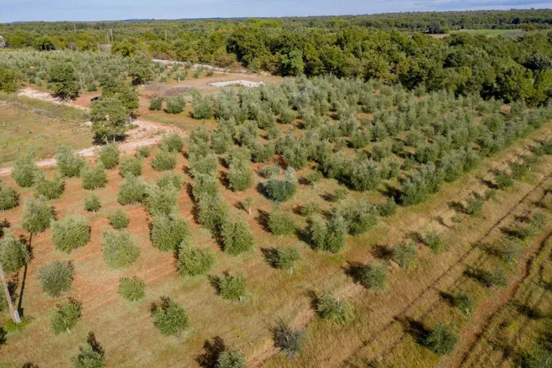 Non-structural plot Vodnjan, 24.680m2 – 2