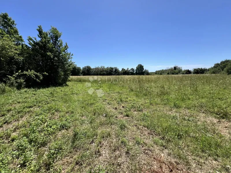 Land Valtura, Ližnjan, 12.229m2 – 3