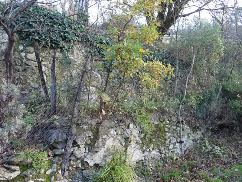 Föld Buzet, 28.694m2 – 3