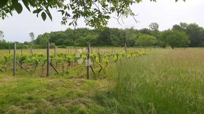 Land Labin, 10.550m2 – 2