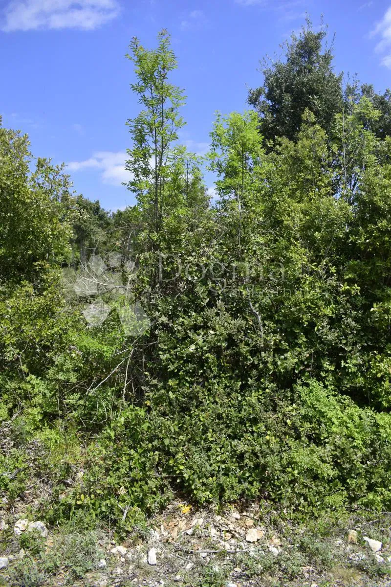 Terreno Rakalj, Marčana, 15.702m2 – 2