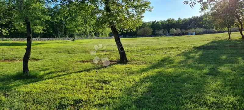 Terreno Rovinj, 10.038m2 – 3
