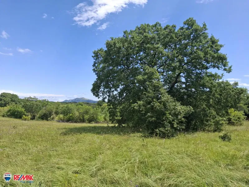 Cantiere Labin, 1.000m2 – 2
