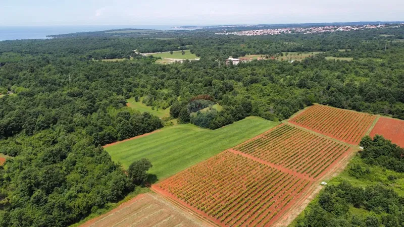 ISTRIA, POREČ - land 6420 m2 – 3