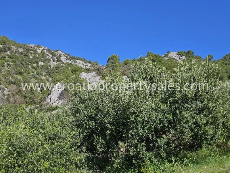 Terreno Hvar – 2