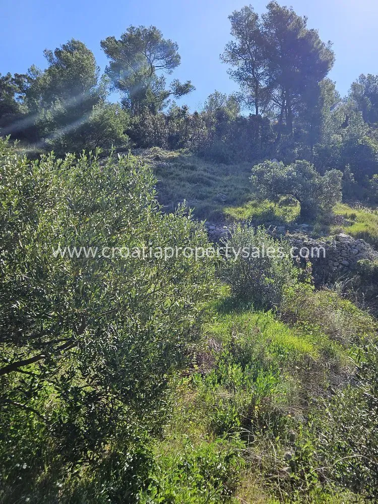 Terreno Hvar – 3