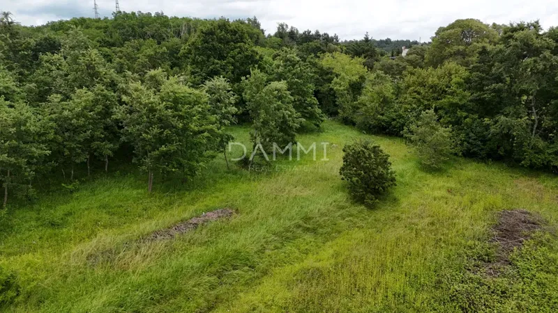 Telek Pazin – 3