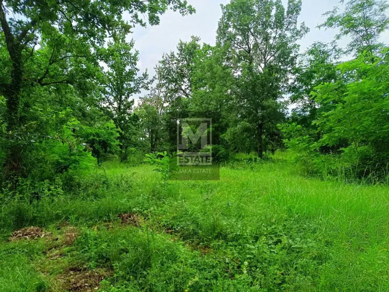 Poreč, surroundings, Combined land in a quiet location – 3