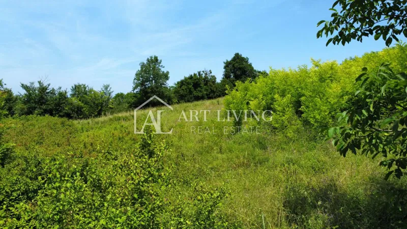 Istra, Novigrad, okolica - atraktivno građevinsko zemljište s projektom na mirnoj i lijepoj lokaciji – 3