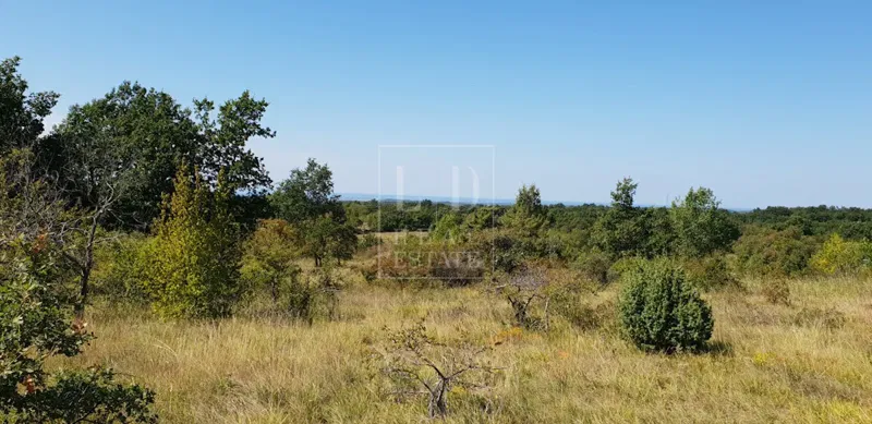Building land in Buje – 2