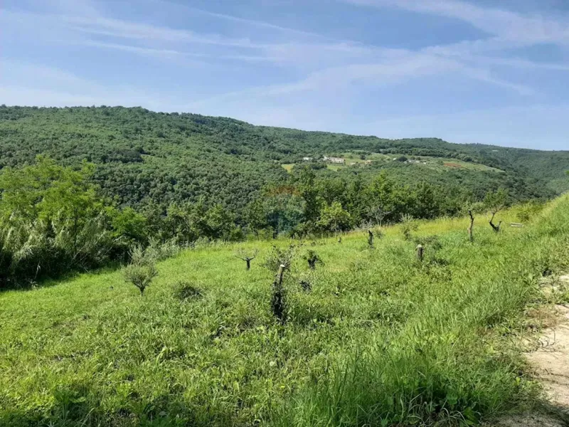 Building plot Motovun, 2.157m2 – 3
