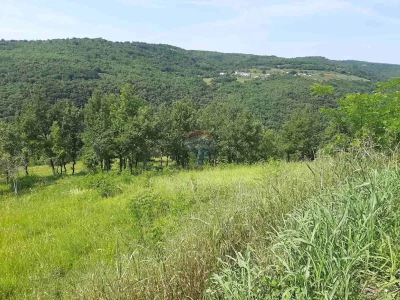 Building plot Motovun, 2.157m2 – 2