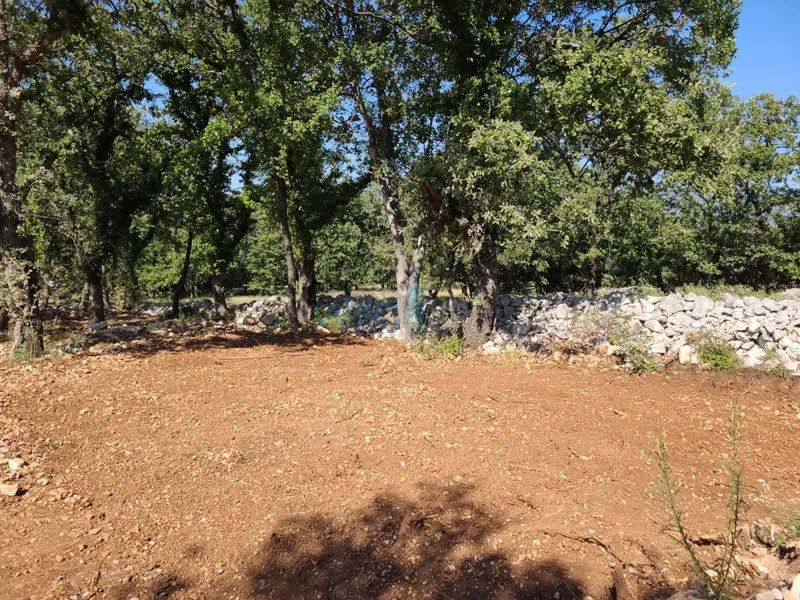 Dobrinj, Šilo, Agricultural land near the sea with access road, for sale – 2
