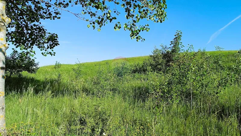 Building plot Sabljaki Modruški, Josipdol, 90.599m2 – 3