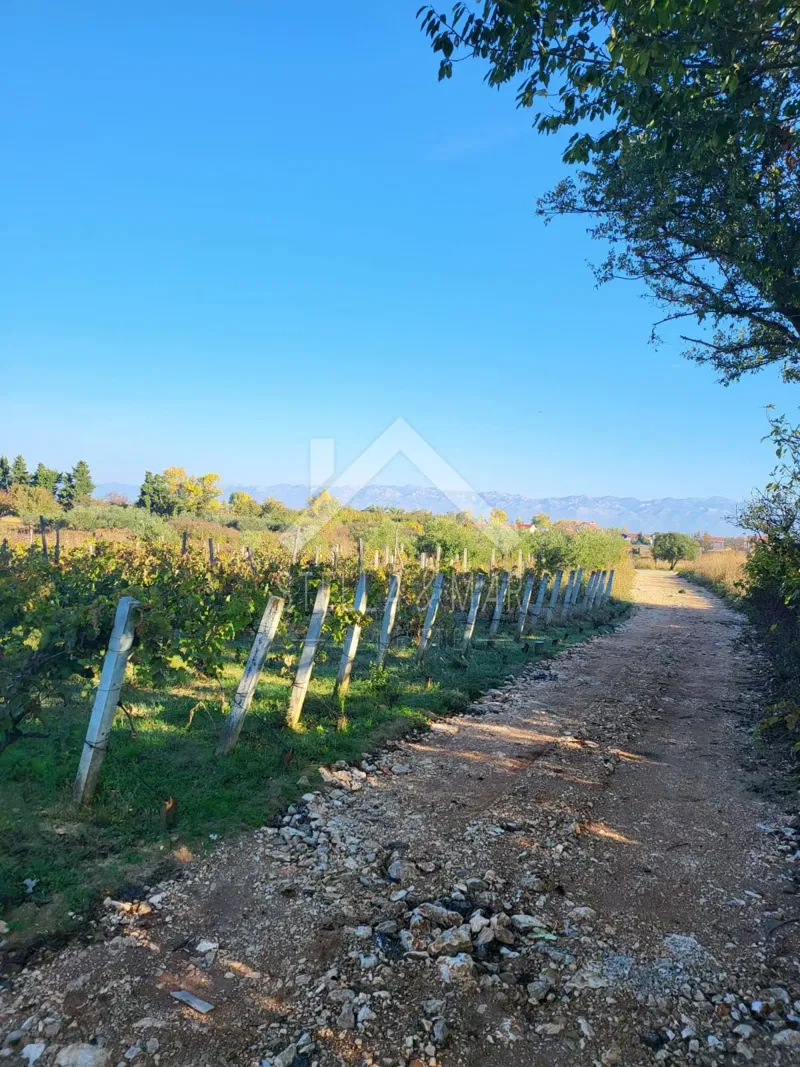 Land Grbe, Nin, 629m2 – 3
