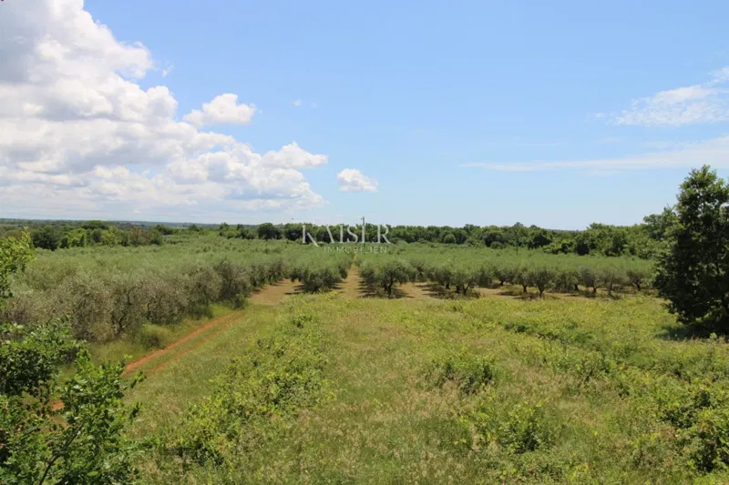 Istria - Poreč, building plot 500 m to the sea, T1 zone – 3
