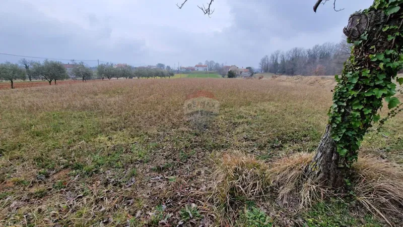 Building plot Sutivanac, Barban, 742m2 – 2