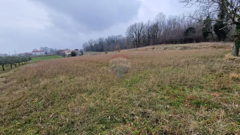 Building plot Sutivanac, Barban, 742m2 – 3