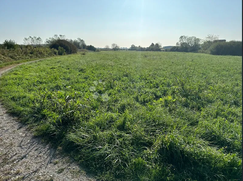 Land Texas, Varaždin, 2.779m2 – 3